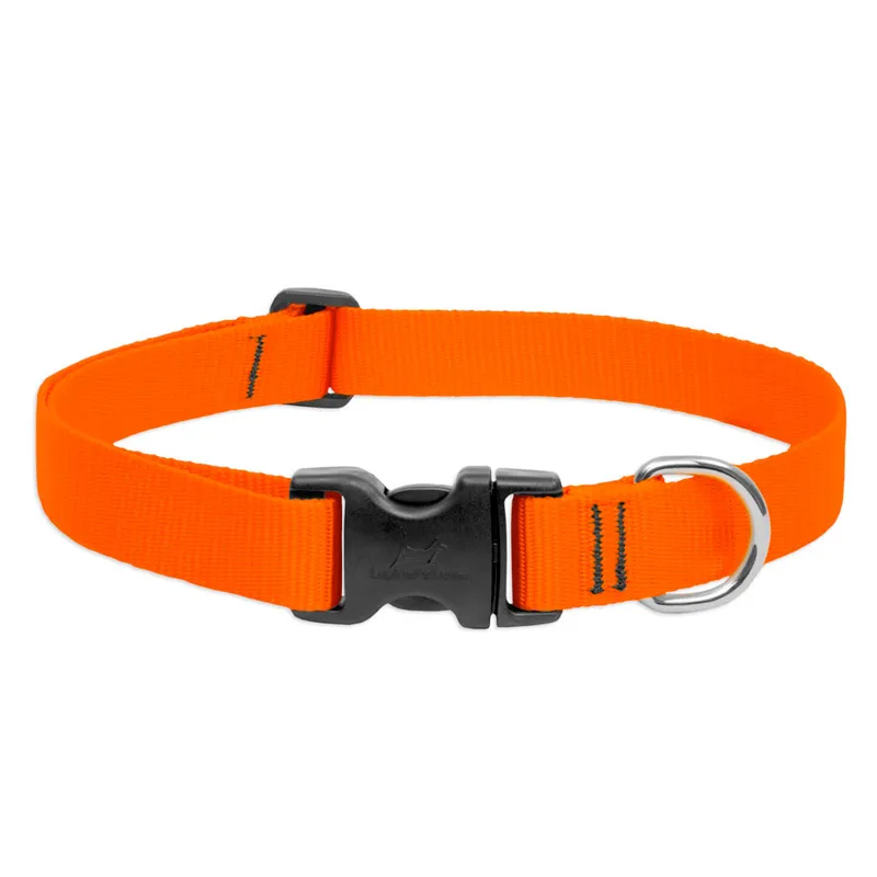 BASICS Adjustable Collar ORANGE 1″ FOR BIG DOGS (L)