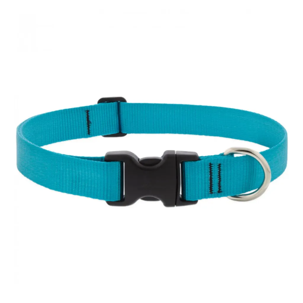 BASICS Adjustable Collar AQUA 1″ FOR LARGE DOGS (S)