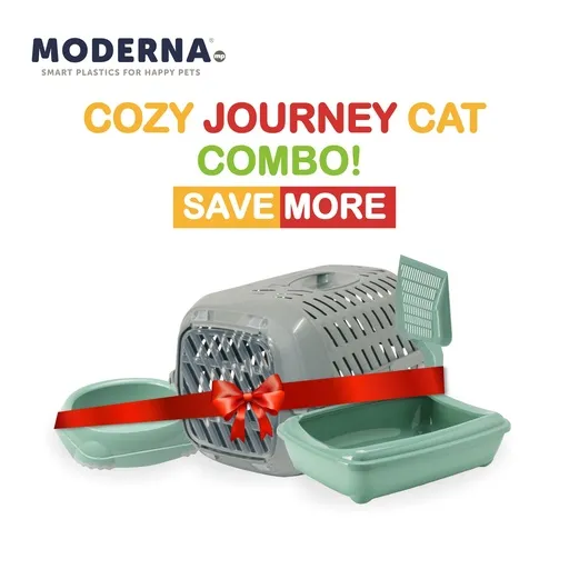 Cat Carrier For Cats