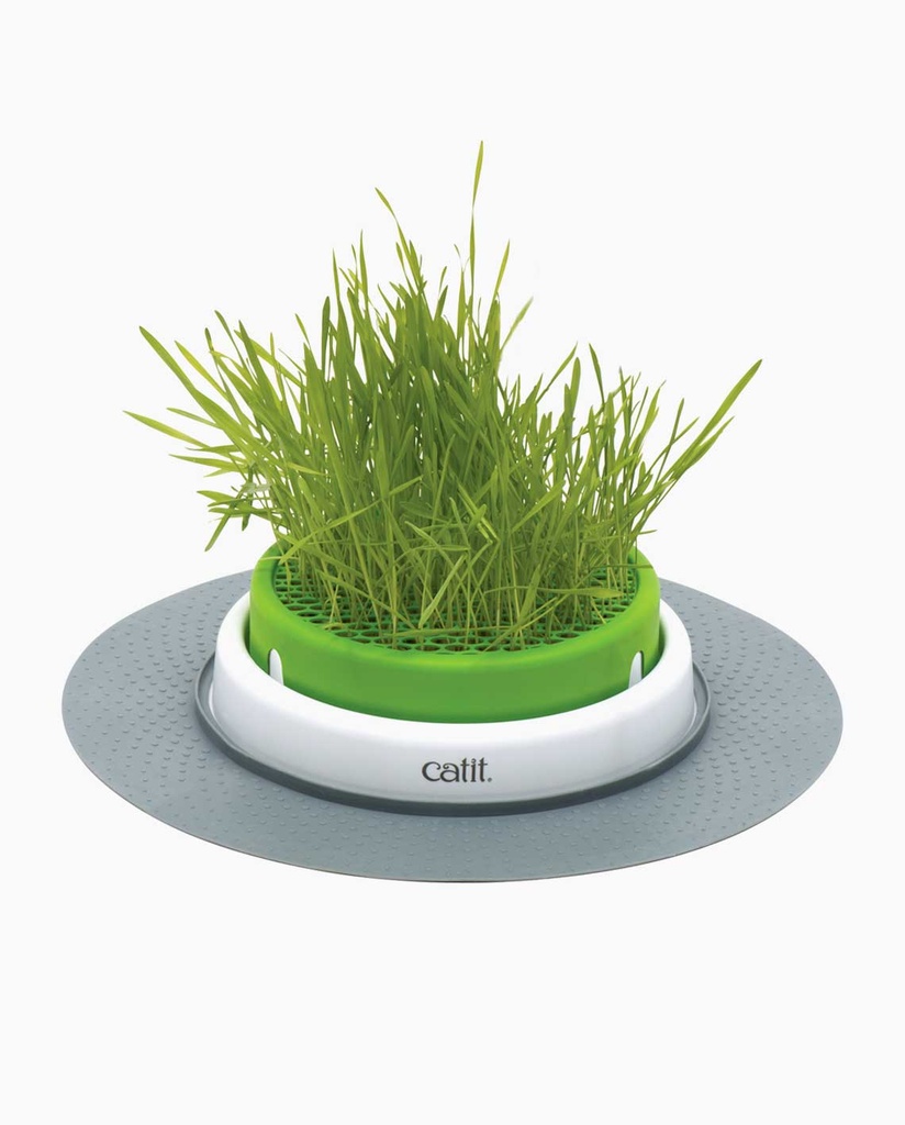 Catit Cat Grass Kit (set of 3)