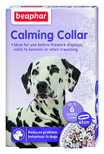 Calming Collar for Dog